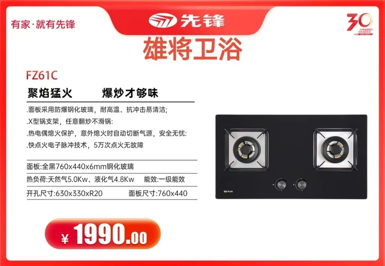 先锋灶具FZ61C