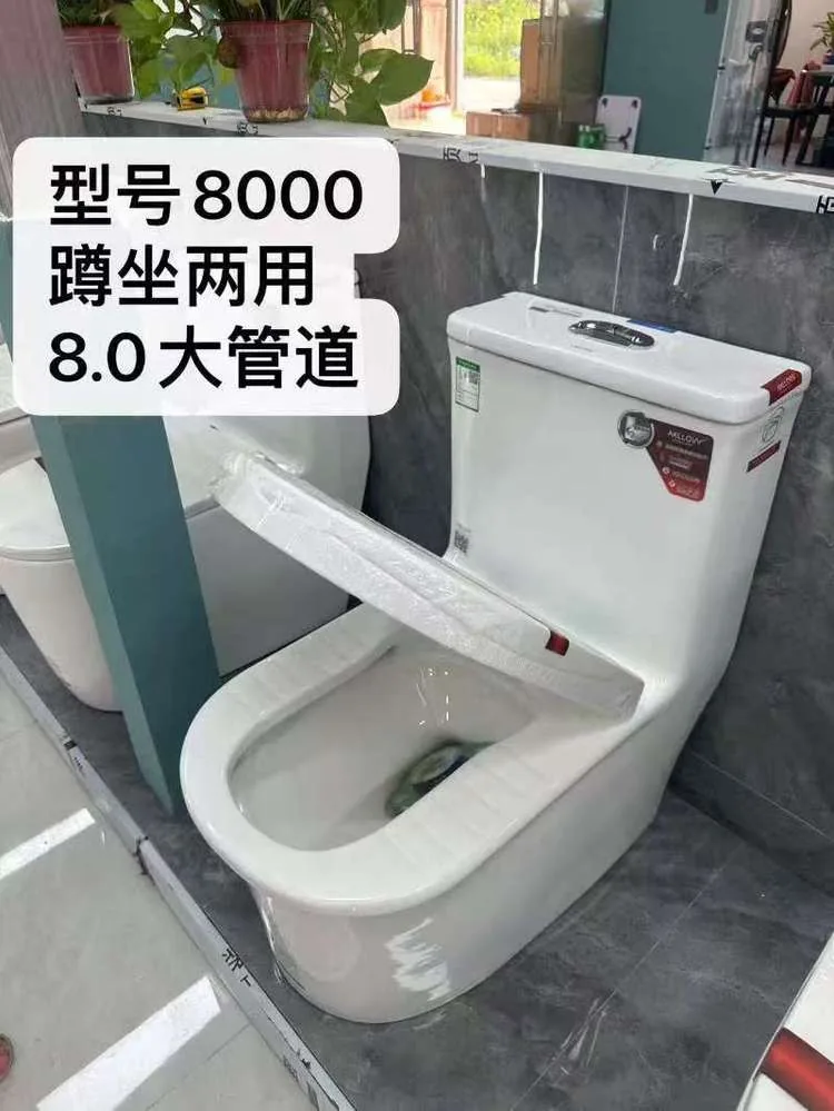 蹲坐一体8000