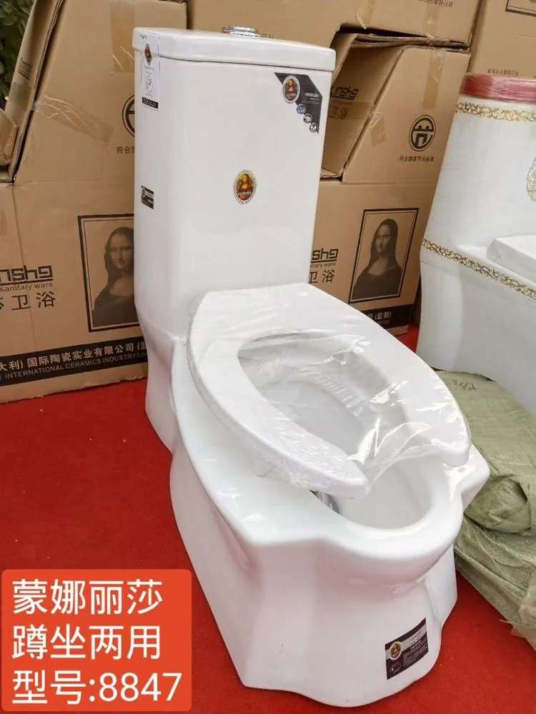 蹲坐一体8847